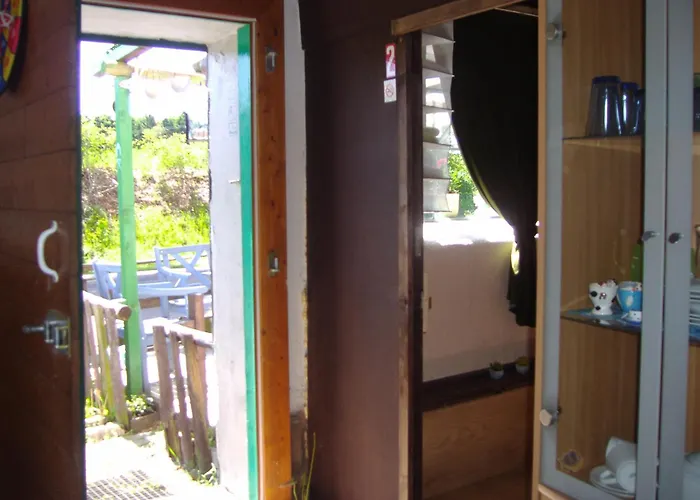 キャンプ場 Mart