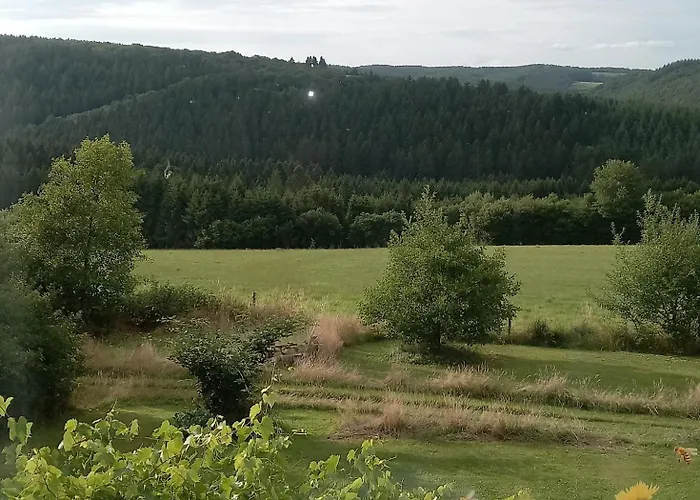 キャンプ場 Mart *